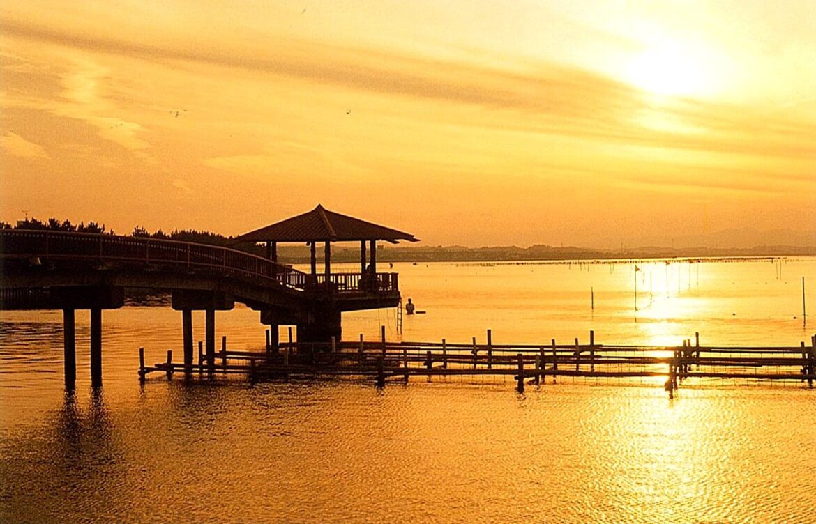 6d5a8c9c71df2ed85d249ade4a119b01