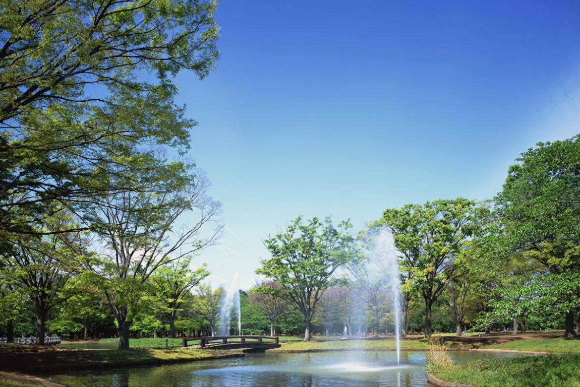 代々木公園 ペットとお出かけ