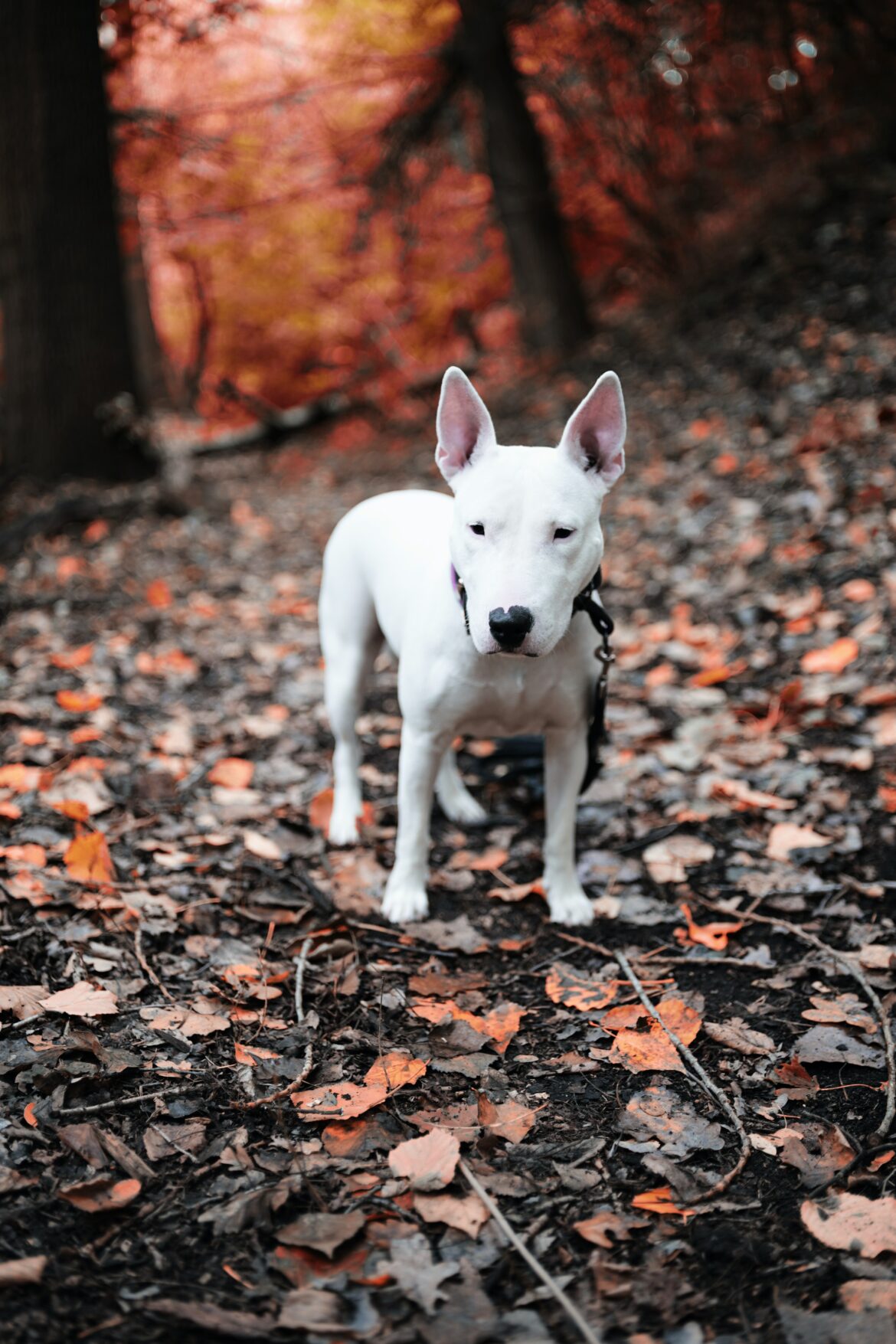 marc-schaefer-nrEKCL83WeA-unsplash