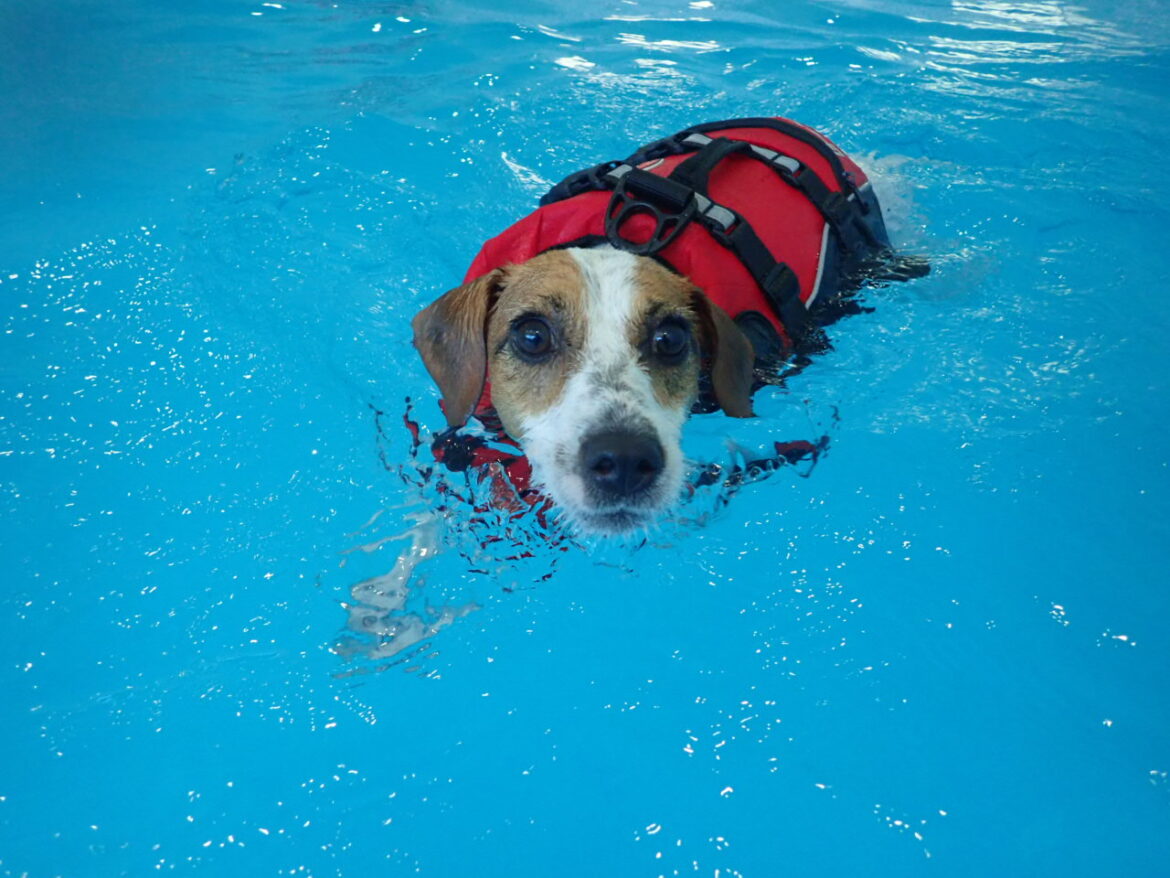 o1280096014973390577