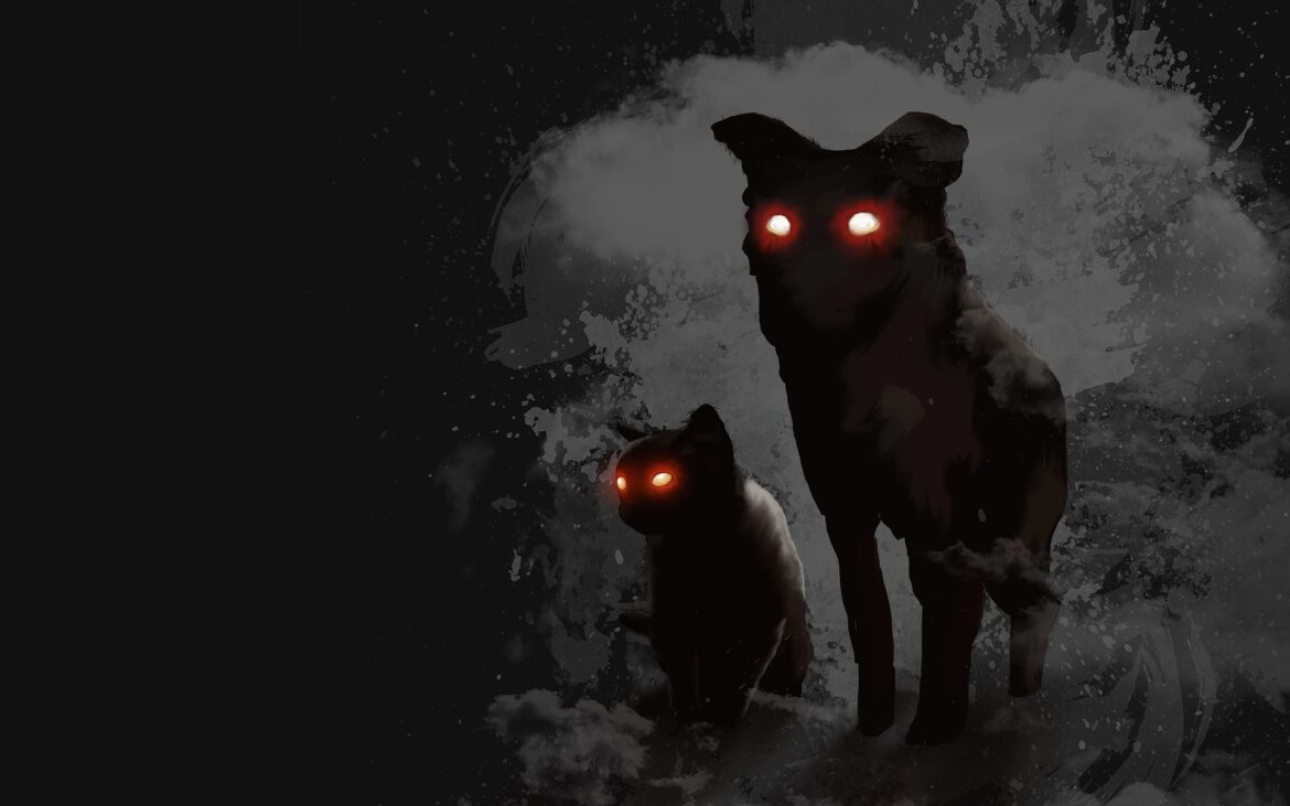 dog-4266512_1920