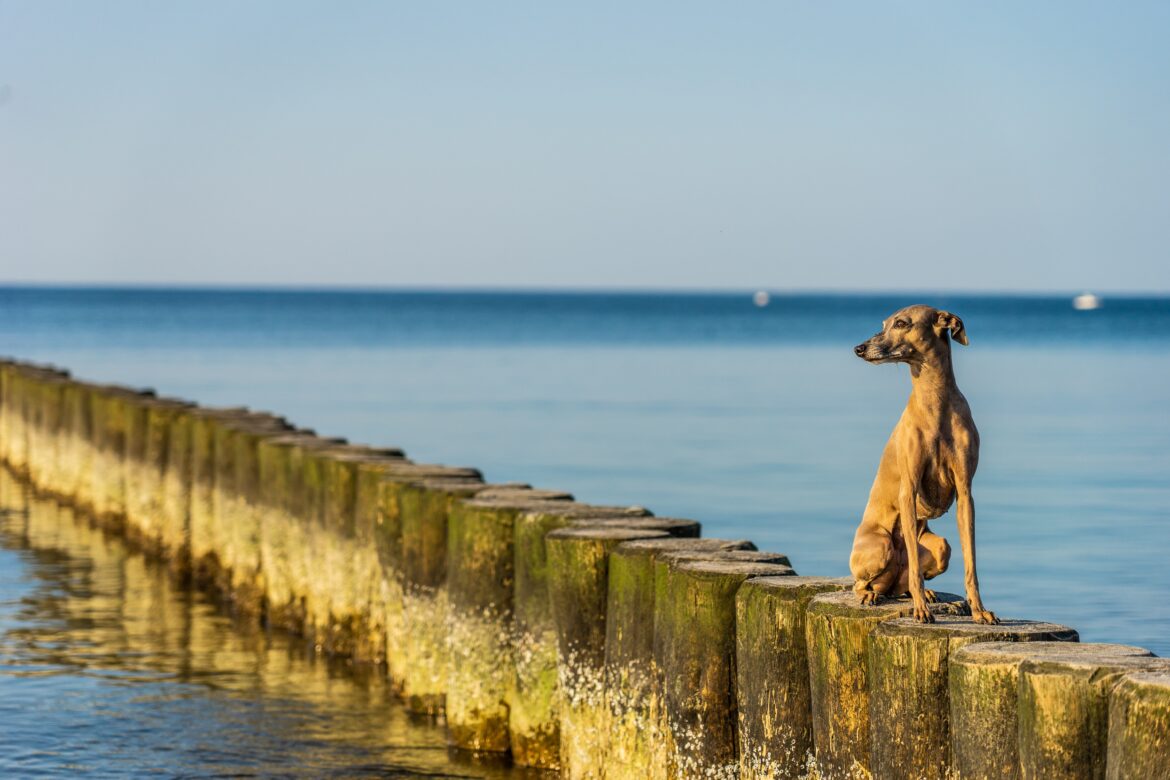 christian-n2uJlnv5H5g-unsplash