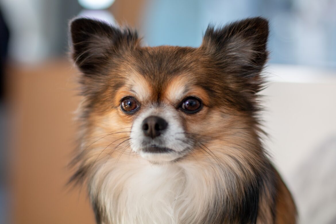 herbert-goetsch-L2tcfHLOy8Q-unsplash