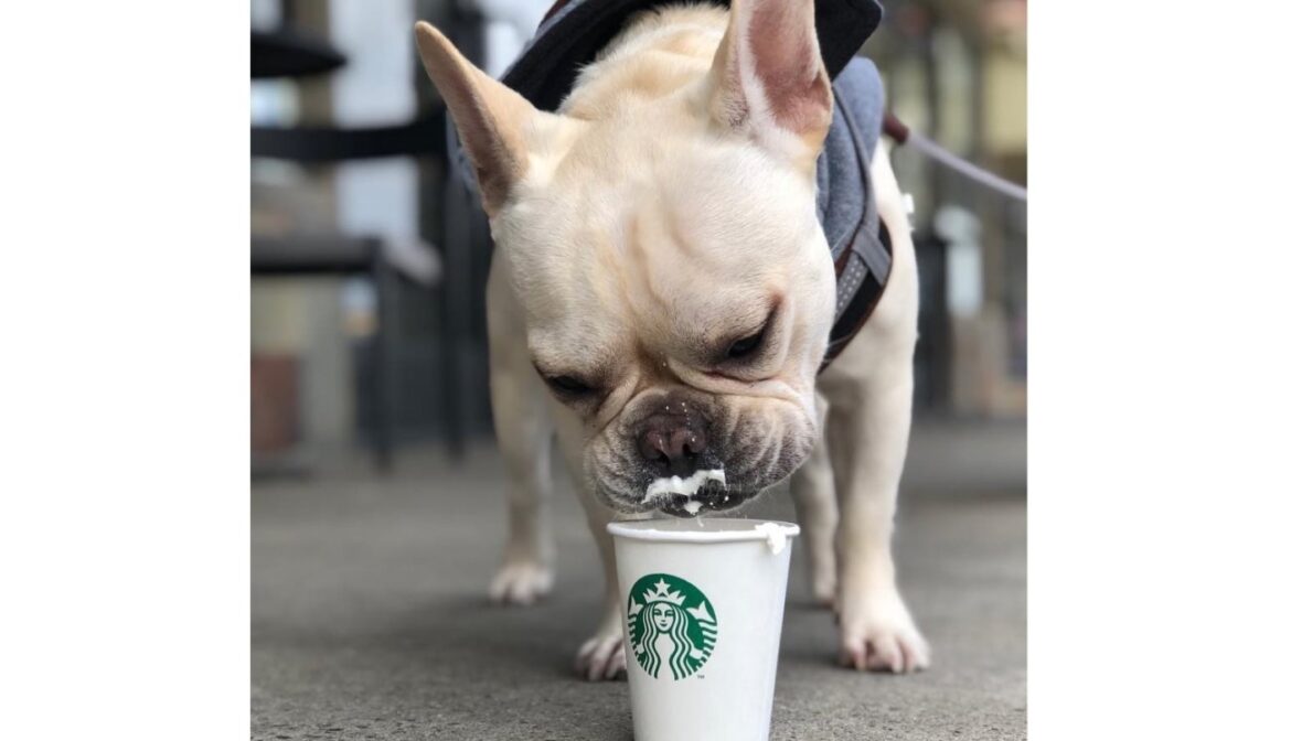 2019-03-21-10.57.32-1300×747