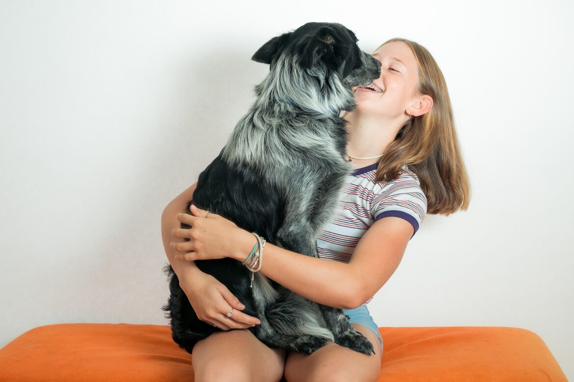 pet-g3a811b365_1920