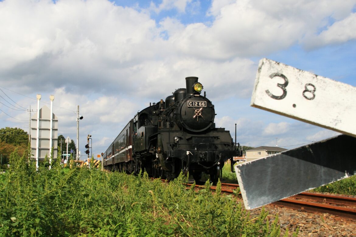 3723275_m