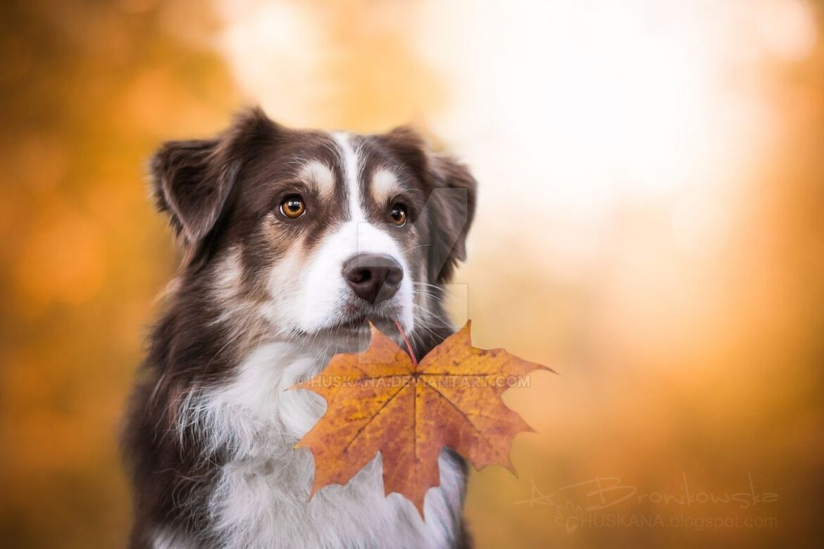 d9eoixp-2ee1fb61-1d0a-4907-9903-47790ea376be