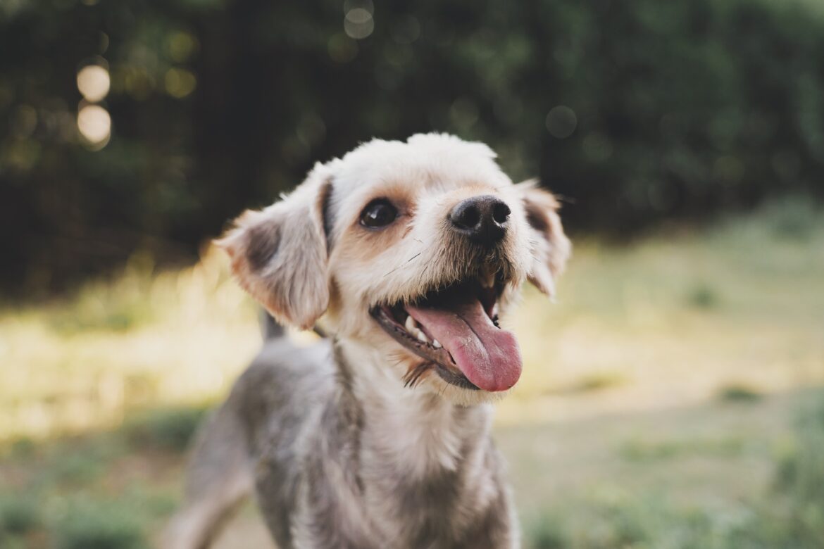 alvan-nee-uELAumR6S0I-unsplash