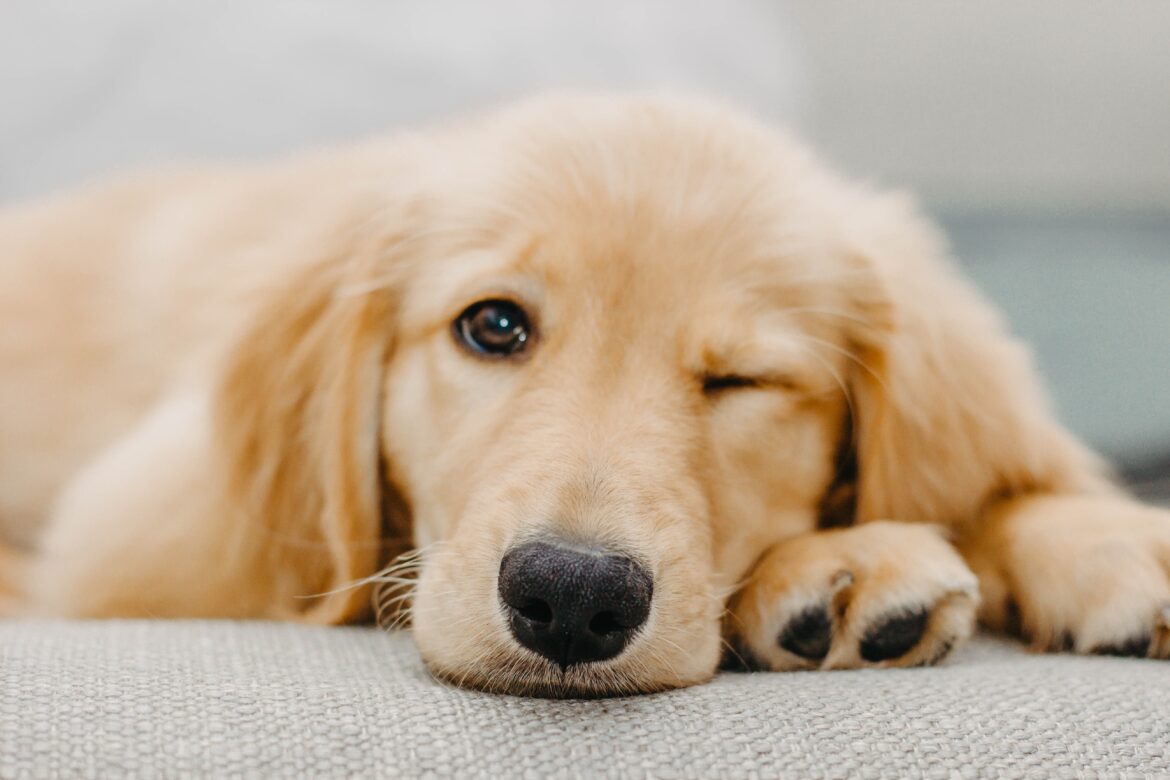 taylor-sondgeroth-ltsKOg_q_Gc-unsplash